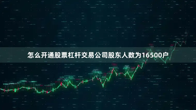怎么开通股票杠杆交易公司股东人数为16500户