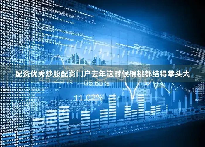 配资优秀炒股配资门户去年这时候棉桃都结得拳头大